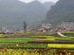 Gender and Food Security Developments