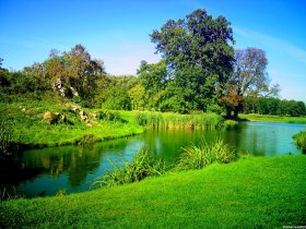 nature