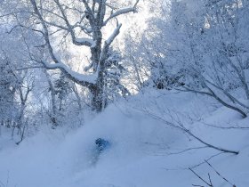 Snowboard Freeride